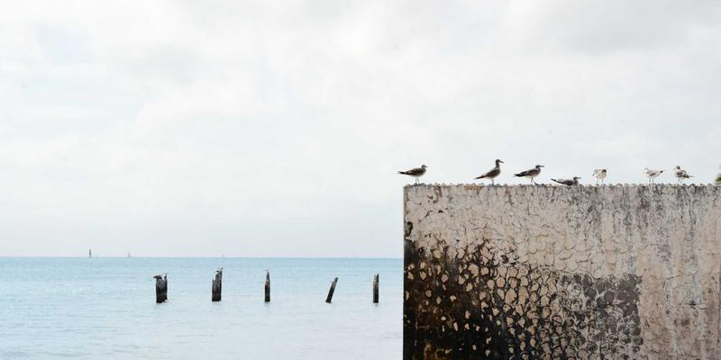 从内而外的美丽革命：抗衰老与问题皮肤的保健养生营养学对策
