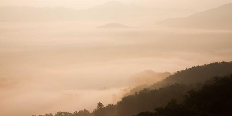 从真实案例看养生误区：掌握科学养生知识，开启健康生活新篇章