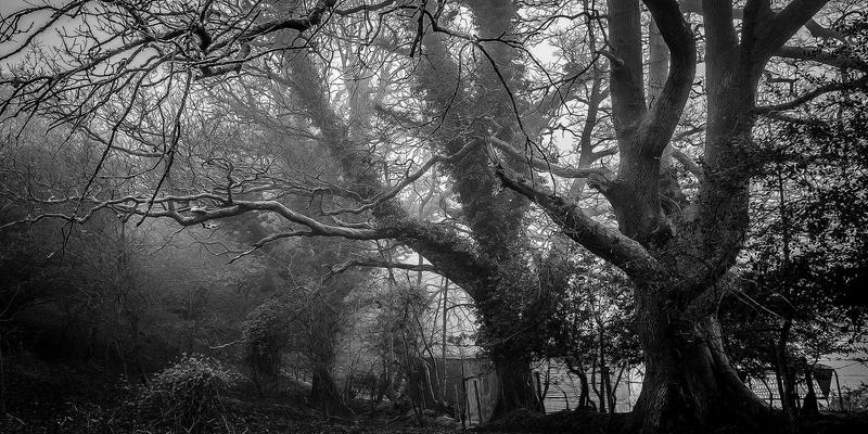 保健新策略：如何通过运动与抗炎食物清单，逆转身体的慢性炎症火源