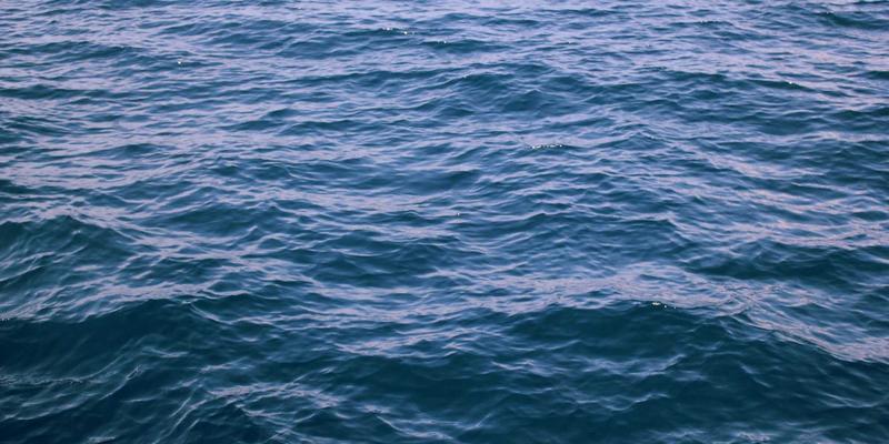 健康2.0时代：营养、运动与心理健康的黄金三角