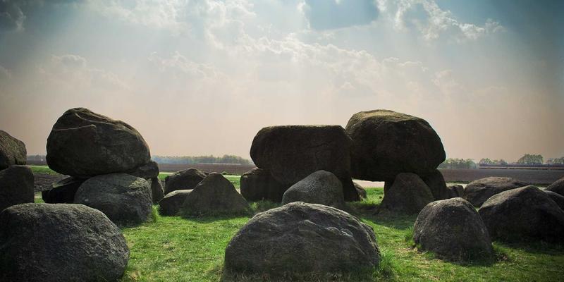 健康31：解码运动与养生的黄金法则，掌握前沿健康资讯
