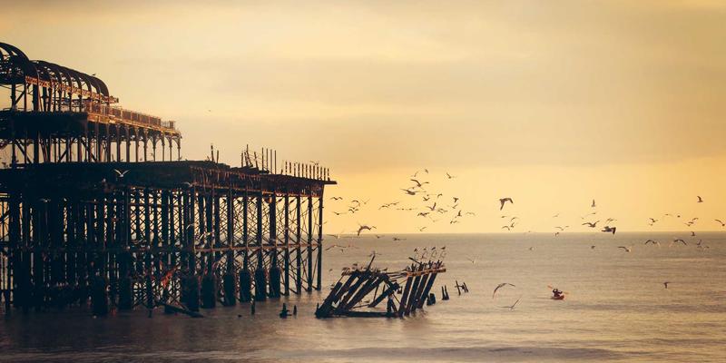 健康42：解锁现代营养密码，构建终身健康资讯体系