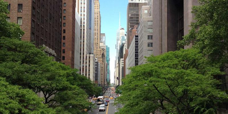 健康44：解锁营养与运动的黄金平衡，掌握科学健康资讯