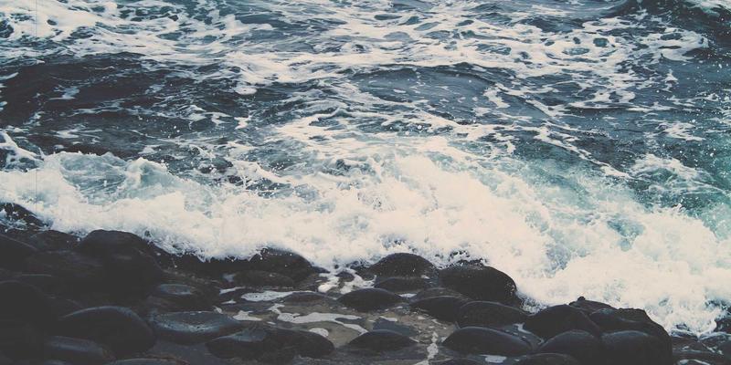 健康65：构筑身心平衡的黄金三角——资讯、心理与运动