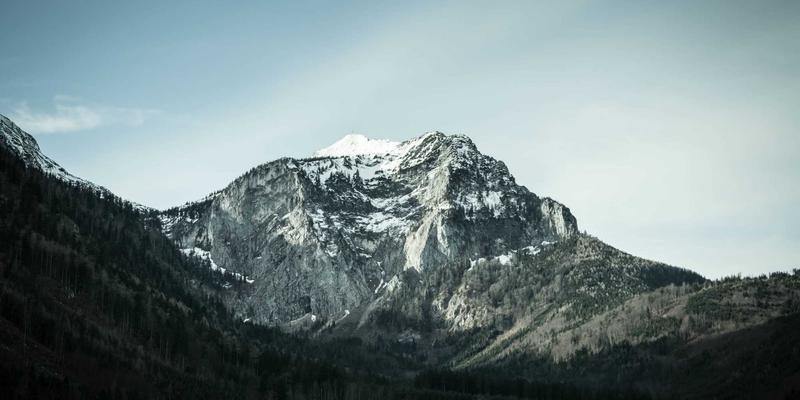健康79：解码现代健康密码，从资讯到行动的完整指南
