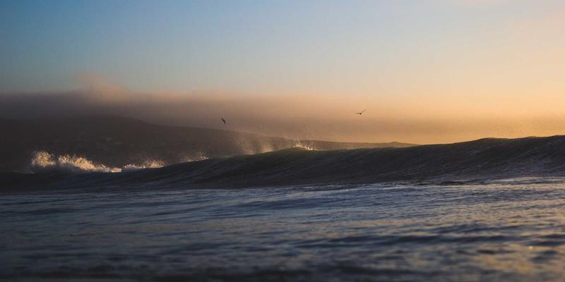 健康98：构建身心平衡的现代养生体系