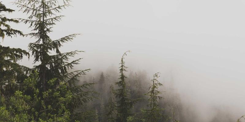 健康入门指南：掌握养生资讯、科学运动与日常保健的黄金法则