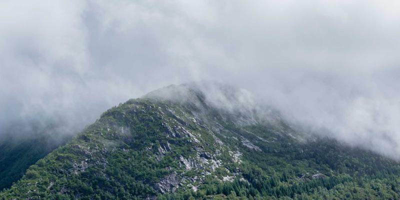 健康前景：科学养生、合理运动与日常保健的融合之道