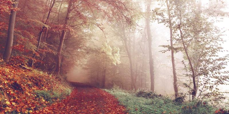 关节灵活性与疼痛管理：运动与物理疗法如何促进心理健康与养生