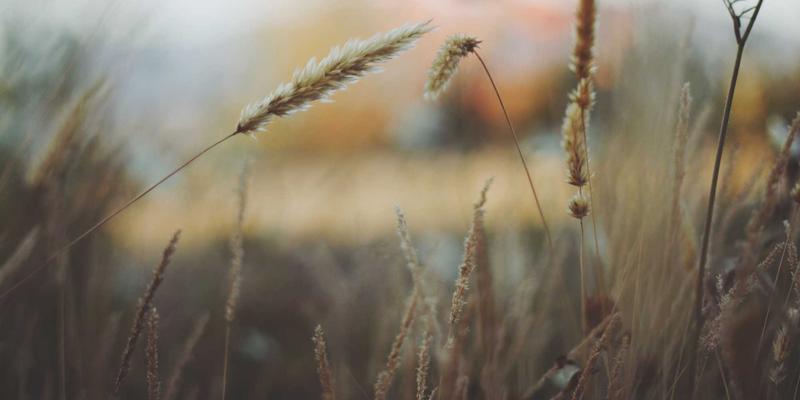 养生新知：从运动到屏障修复，根本改善敏感肌与湿疹的养生知识