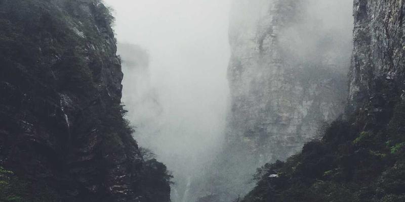 地中海饮食养生指南：守护心血管健康，科学降低慢性病风险