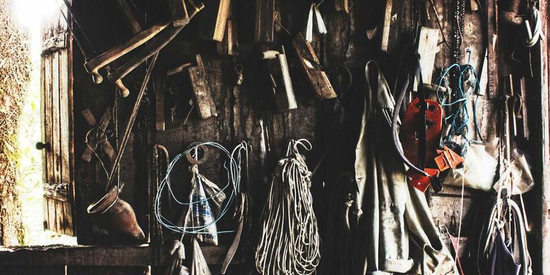 守护骨骼健康，远离骨质疏松：全年龄段营养与运动指南