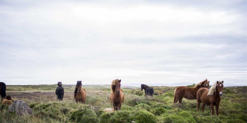 平衡女性荷尔蒙的实用指南：营养与生活方式如何重塑健康