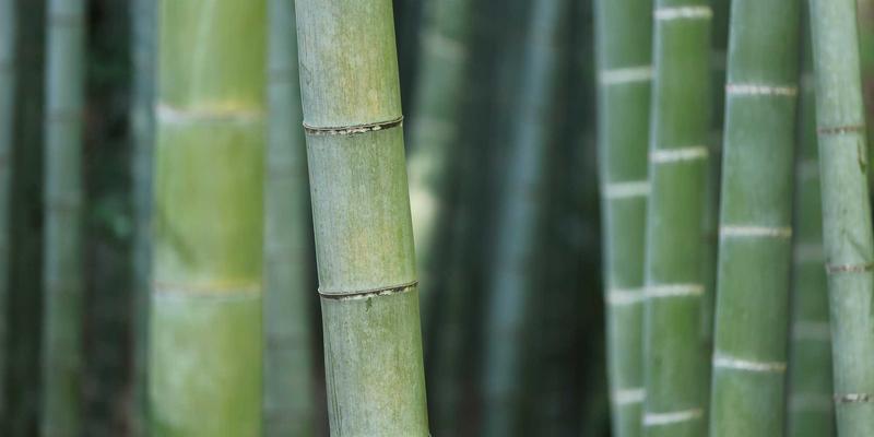 昼夜节律校准：运动与保健的全身健康同步之道