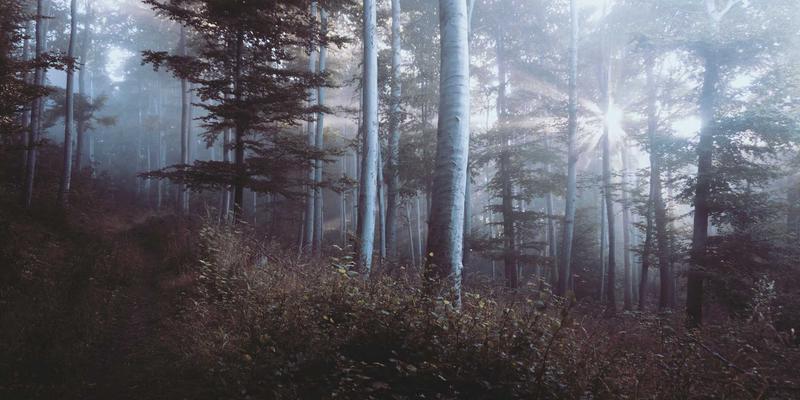 深度睡眠的养生奥秘：如何通过营养与科学方法巩固记忆、调节情绪