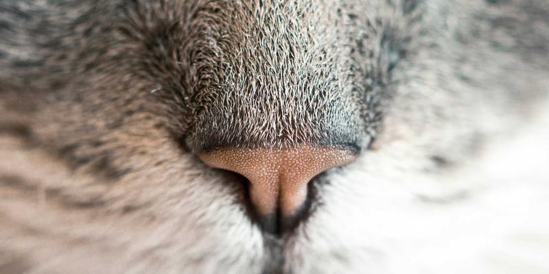 现代人必备健康攻略：科学保健与实用养生知识全解析