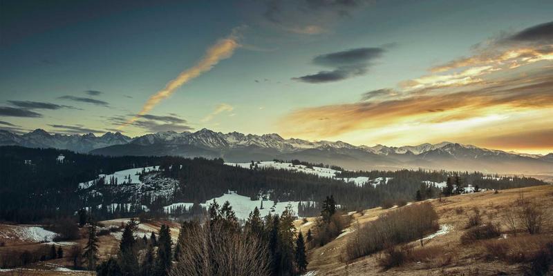 甲状腺功能与全身代谢：识别功能失调的细微信号与科学干预方案