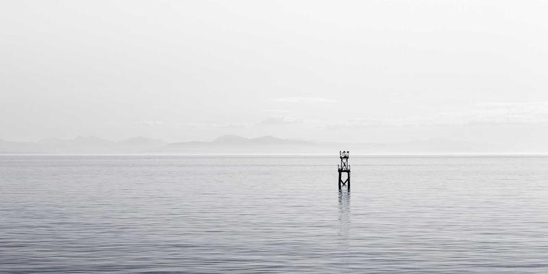 甲状腺功能调节：识别身体异常信号与自然支持方法 | 保健营养养生知识