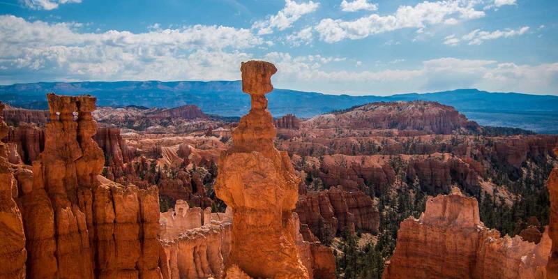 筋膜健康：营养与运动如何协同缓解疼痛、提升运动表现