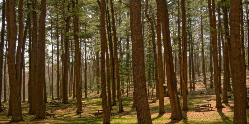 线粒体健康与抗衰老：激活细胞能量工厂的养生知识与运动策略