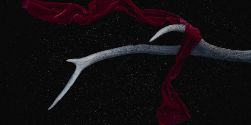 职场健康三重奏：10个拉伸动作缓解久坐疲劳，结合运动与营养守护颈椎与心理健康