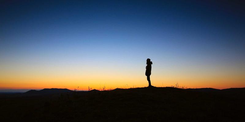肝脏解毒与代谢支持：天然食物与科学运动如何守护你的健康