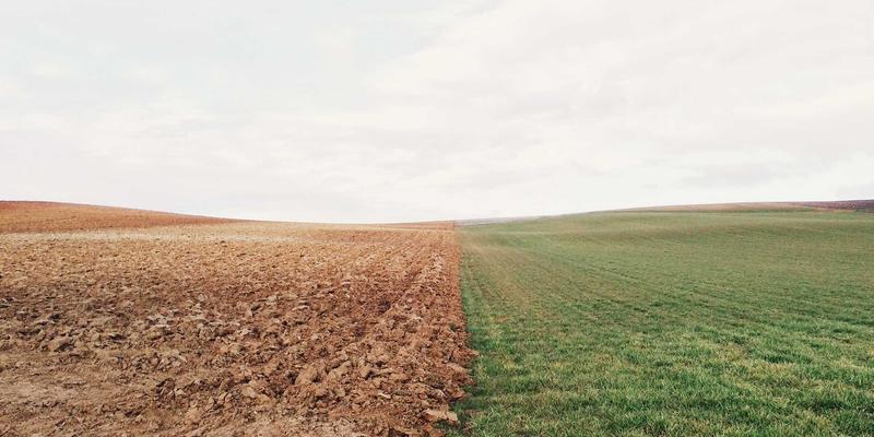 肾脏健康的无声守护：不可忽视的早期预警信号与科学养护要点