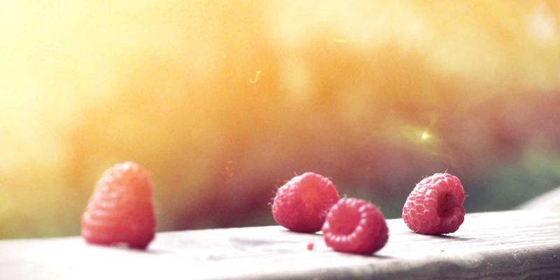 营养与运动如何重塑肠道菌群：解锁第二大脑对心理健康的关键影响