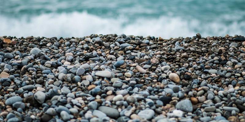 解锁植物化学物的力量：日常蔬果中的抗癌护心营养密码