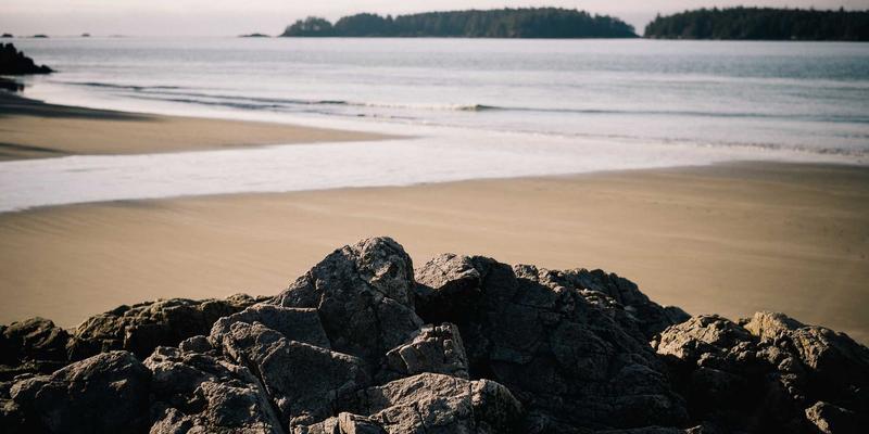 足部健康与全身姿态：从选鞋到锻炼的全面养生指南