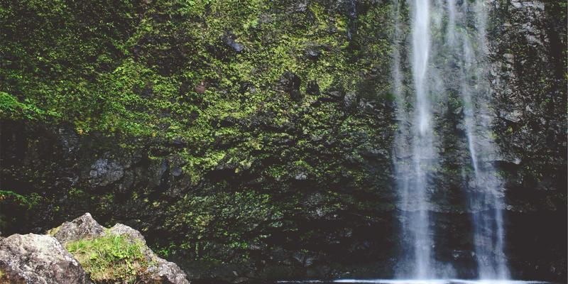 运动与养生知识：守护大脑认知健康的双引擎策略